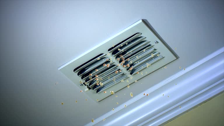 Best Local Air Duct Cleaning Services  in Renova, MS